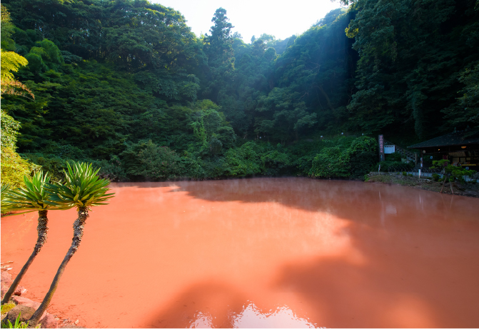 別府地獄めぐり血の池地獄